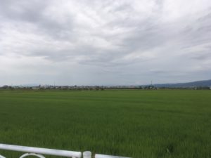 東根の田園風景２