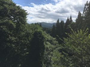 中山平温泉、道の風景