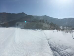 長井フラワーラインの車窓