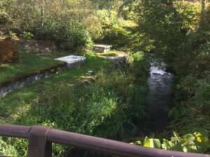 湧駒別高山植物園