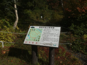 湧駒別高山植物園