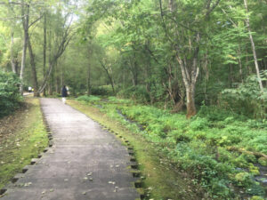 大雪旭岳源水公園の歩道