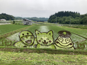 縄文小ヶ田駅前の田んぼアート