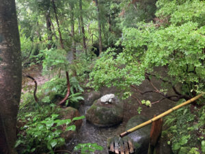 旅館大沼・母里の湯