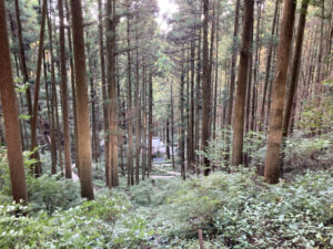 上色見熊野座神社