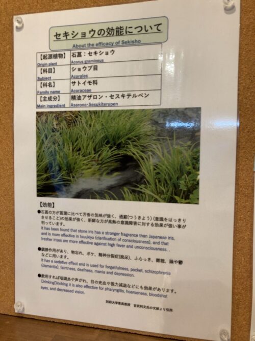 セキショウの効能
