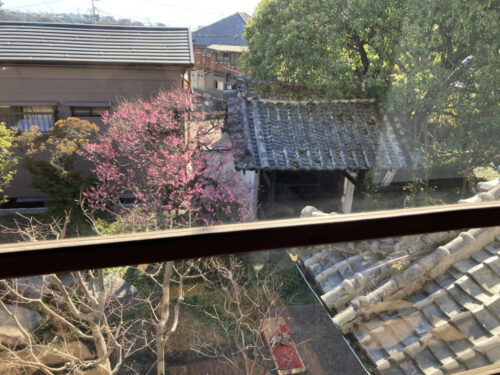はなやももの内部