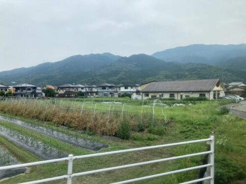 みはる荘へ向かうバスの道
