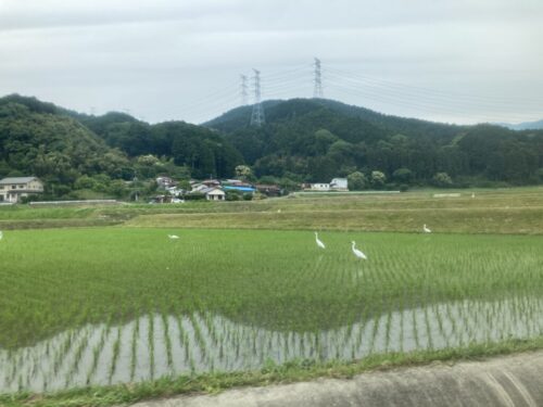 みはる荘へ向かうバスの道