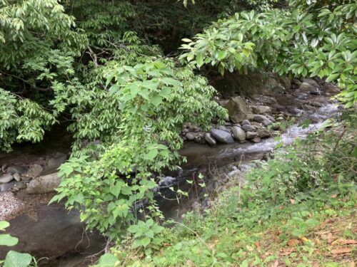 割烹旅館みはる荘のそばを流れる川