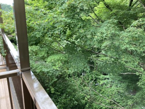 割烹旅館みはる荘の和室からの眺め