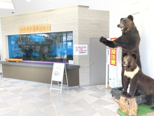 道の駅南ふらのの内観