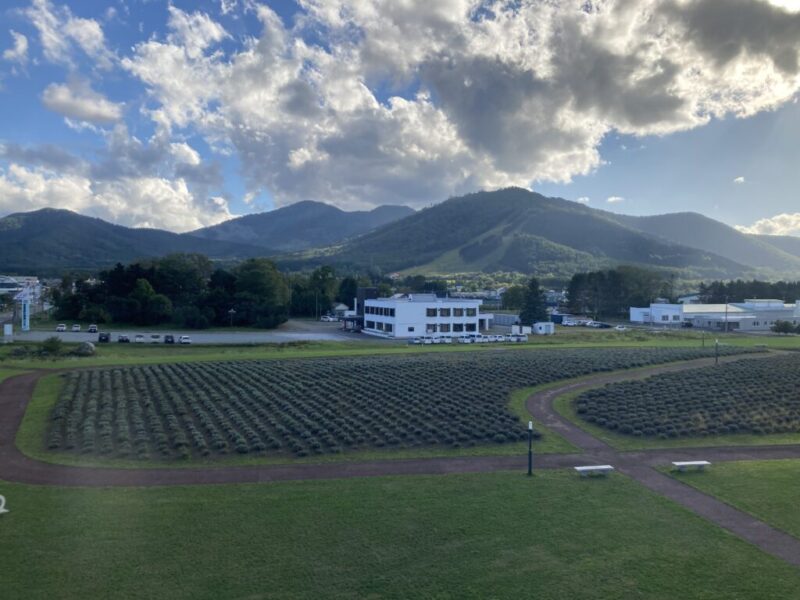 フェアフィールド・バイ・マリオット・北海道南富良野の部屋の窓からの眺め