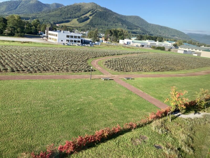 フェアフィールド・バイ・マリオット・北海道南富良野の部屋の窓からの眺め