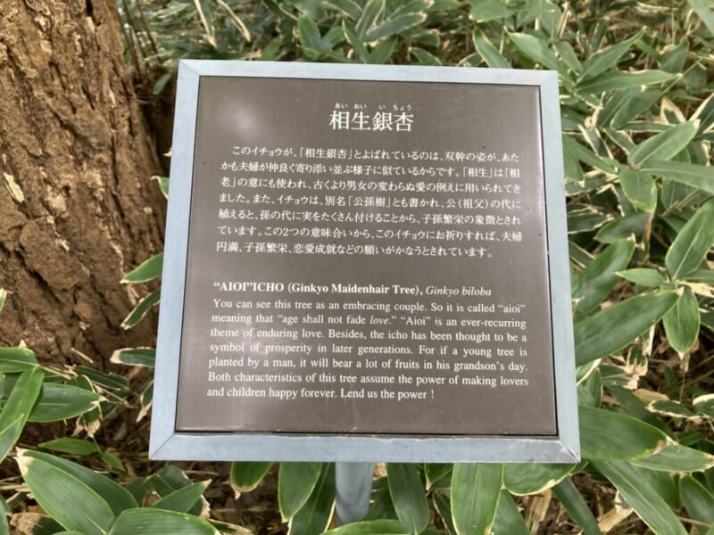 シェラトン都ホテル東京の庭園風景